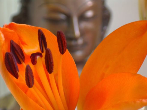 Buddhakopf aus Bronze vor oranger Lilienblüte