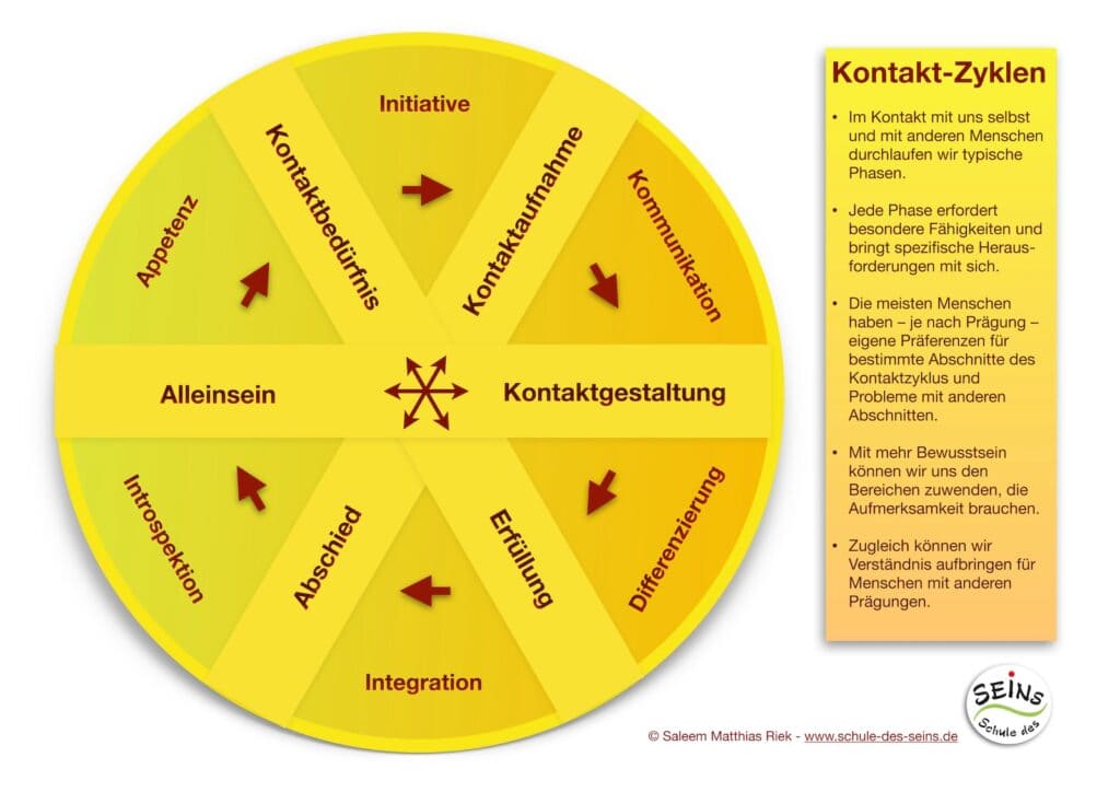 Schaubild Kontaktzyklus